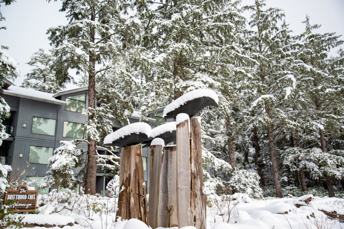 wickinnbc's tweet photo. A short winter interlude arrived in Tofino today bringing a substantial amount of snow. What a magical sight!
#wickinnbc #winterwonderland #tofino #exploretofino #vancouverisland #chestermanbeach https://t.co/6qXkYZOijx