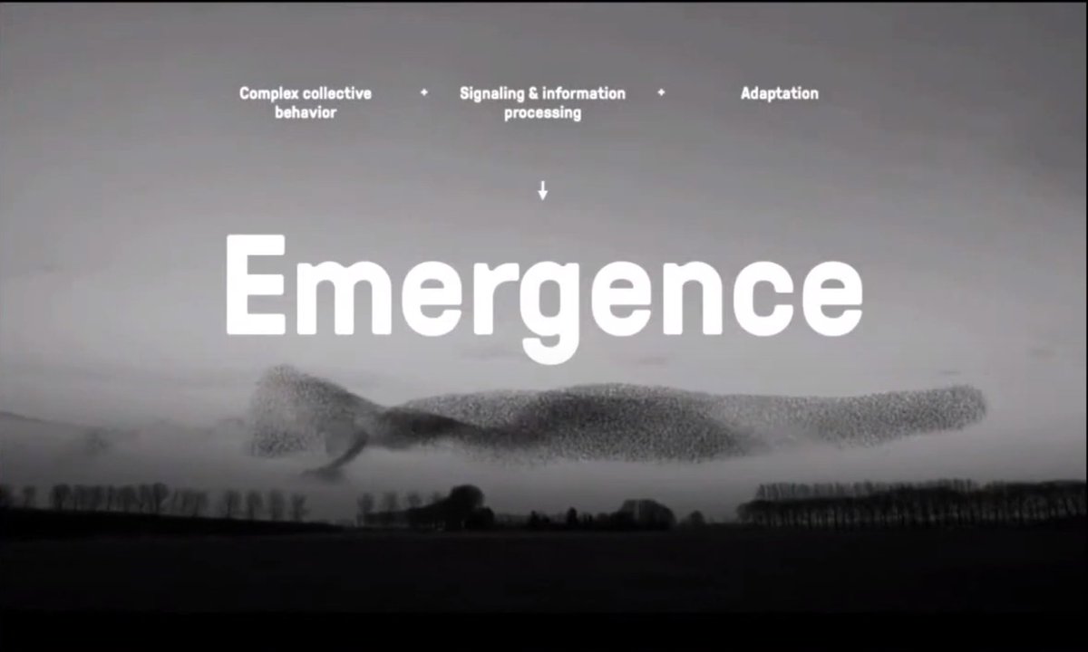 Pruitt-Igoe could've been recognized as a complex system w/ 3 characteristicsCollective behaviorSignalling & info processingAdaptationTogether you get emergance, spontaneous global order as a result of many local interactions btwn individuals acting according to basic rules