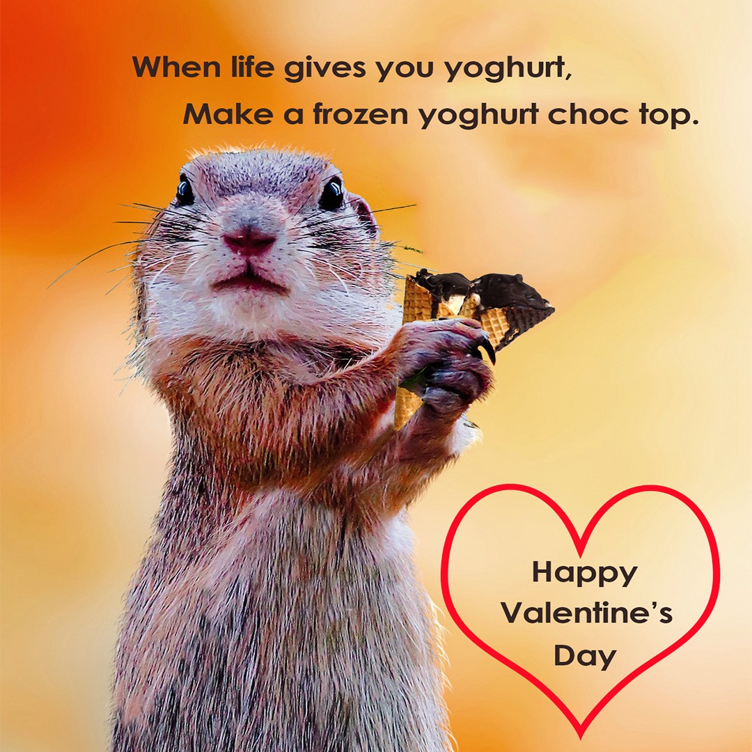 HapiSoy's tweet image. When Life gives you Yoghurt, Make a Frozen-Yoghurt-Choc-Top.  Happy Valentine's Day !!
😘Get your recipe here: hapisoy.com/frozen-yoghurt…
*
*
*
*
*
#hapisoy #vegan #plantbased #plantbaseddiet #veganrecipes #dairyfree #vegansofinstagram #vegansofmelbourne #valentinesday