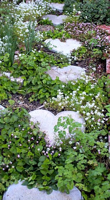 _BunnyKisses's tweet photo. heart-shaped stepping stones 💙 https://t.co/tfkLc99AKX