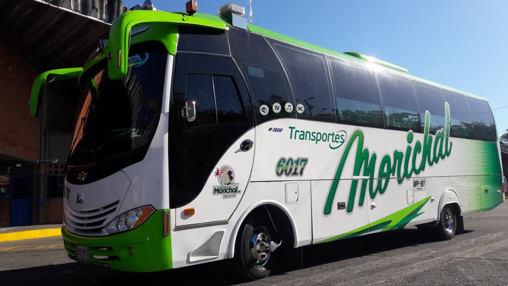 ❇️ Seguimos siendo el medio de transporte para unir familias 👨‍👩‍👧‍👦
Programa tu Viaje y Nosotros te Ayudamos👇
Comunícate con nosotros y realiza tu reserva:

🌴 ¡Viajar nos Une! 🌴
#QuedateEncasa 🏡 😷
¡Juntos saldremos adelante! 😷 ☺️