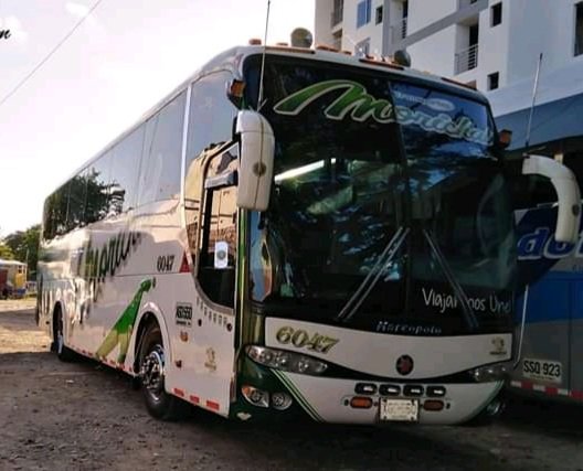 ❇️ Seguimos siendo el medio de transporte para unir familias 👨‍👩‍👧‍👦
Programa tu Viaje y Nosotros te Ayudamos👇
Comunícate con nosotros y realiza tu reserva:

🌴 ¡Viajar nos Une! 🌴
#QuedateEncasa 🏡 😷
¡Juntos saldremos adelante! 😷 ☺️