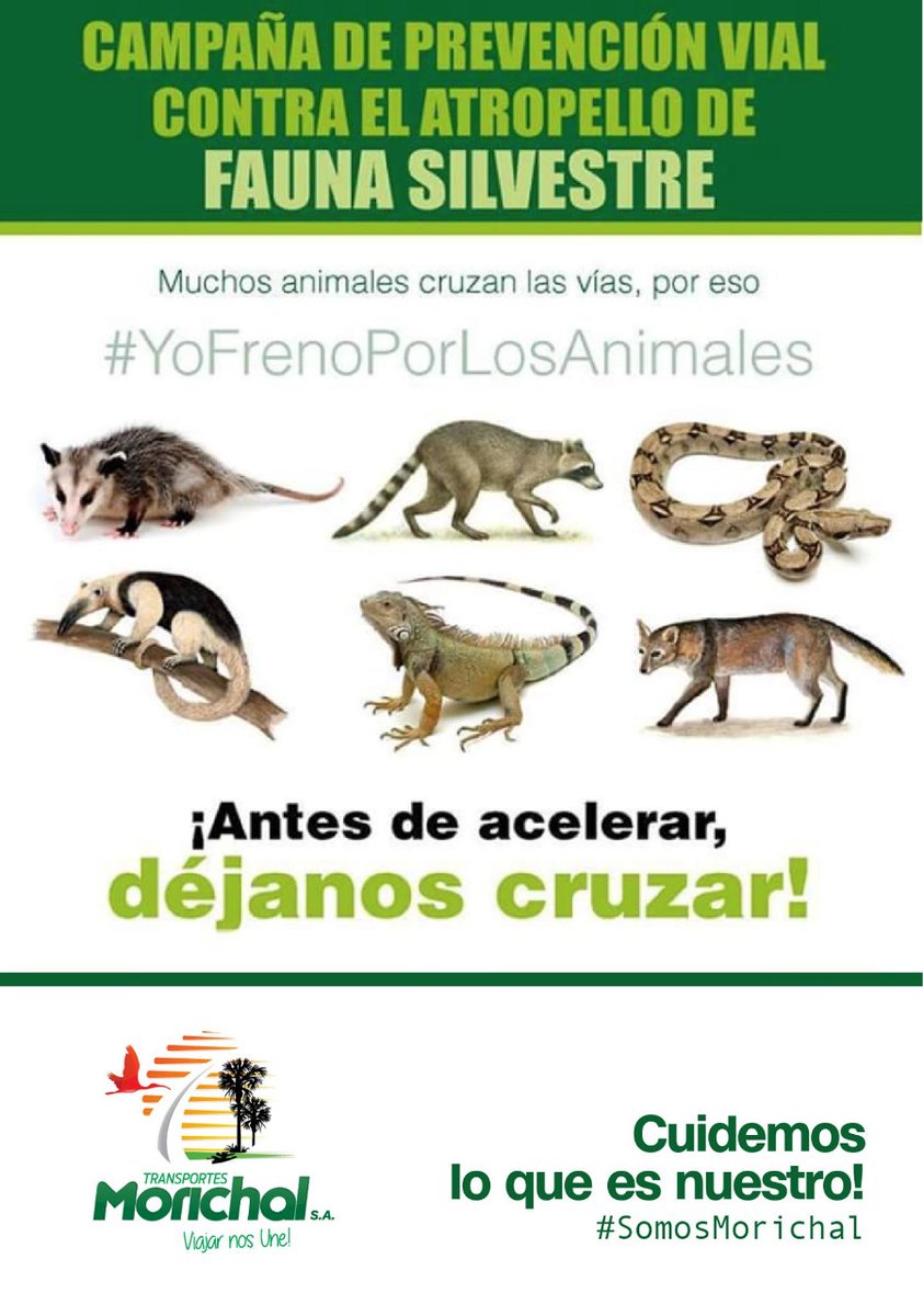 ❇️ Seguimos siendo el medio de transporte para unir familias 👨‍👩‍👧‍👦
Programa tu Viaje y Nosotros te Ayudamos👇
Comunícate con nosotros y realiza tu reserva:

🌴 ¡Viajar nos Une! 🌴
#QuedateEncasa 🏡 😷
¡Juntos saldremos adelante! 😷 ☺️