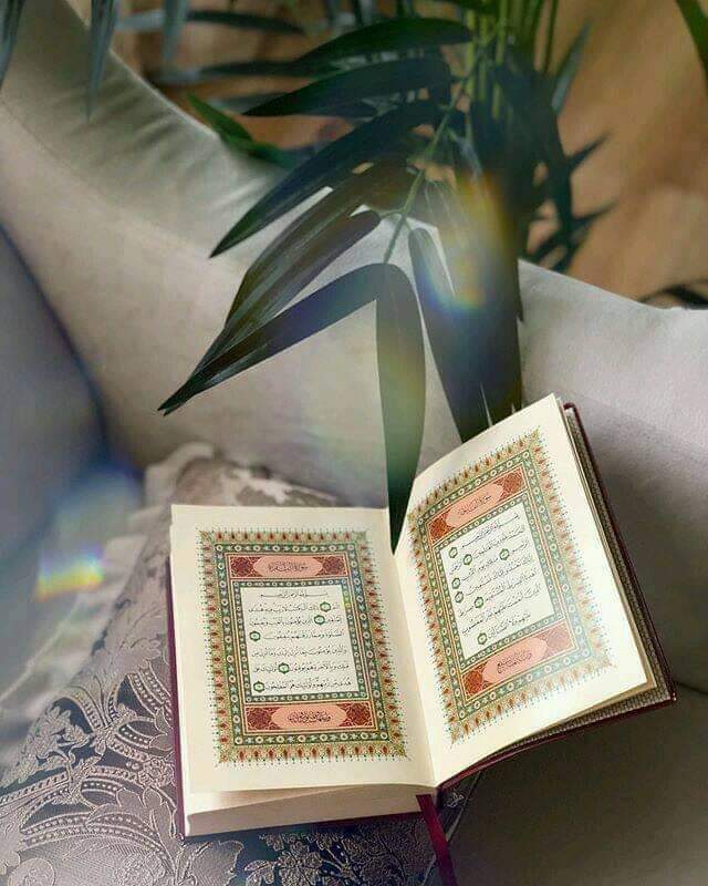 muskan) مسکان💝 tweet media