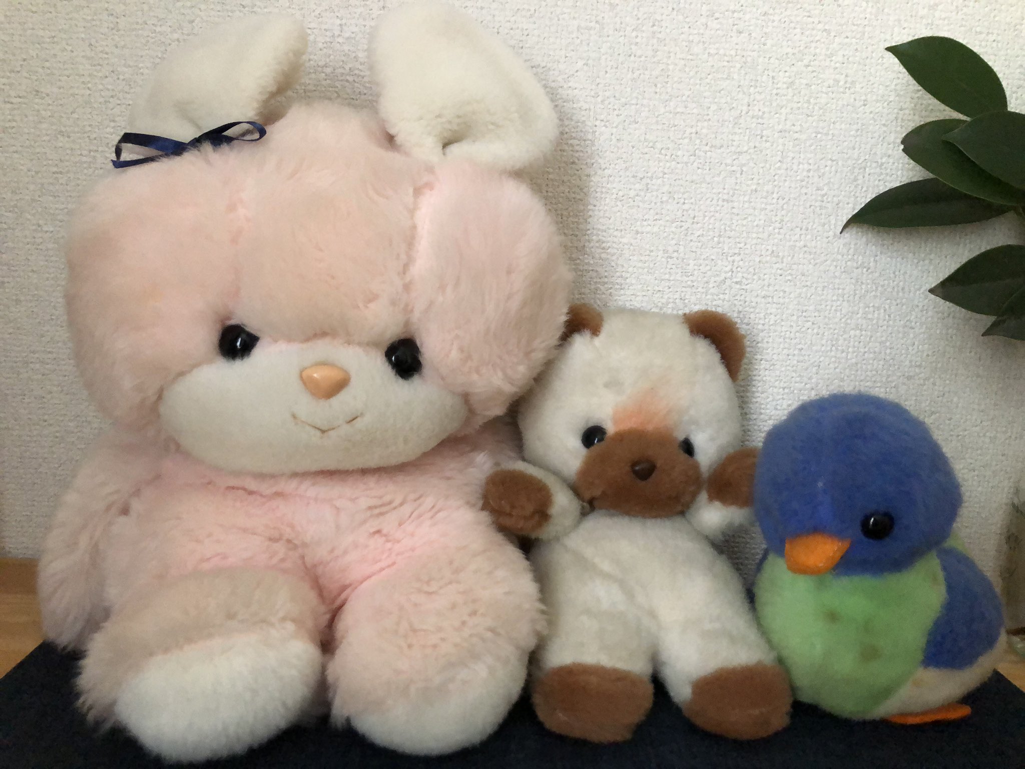 今だけセール 吉徳ぬいぐるみねこ www.nmis.gov.ph