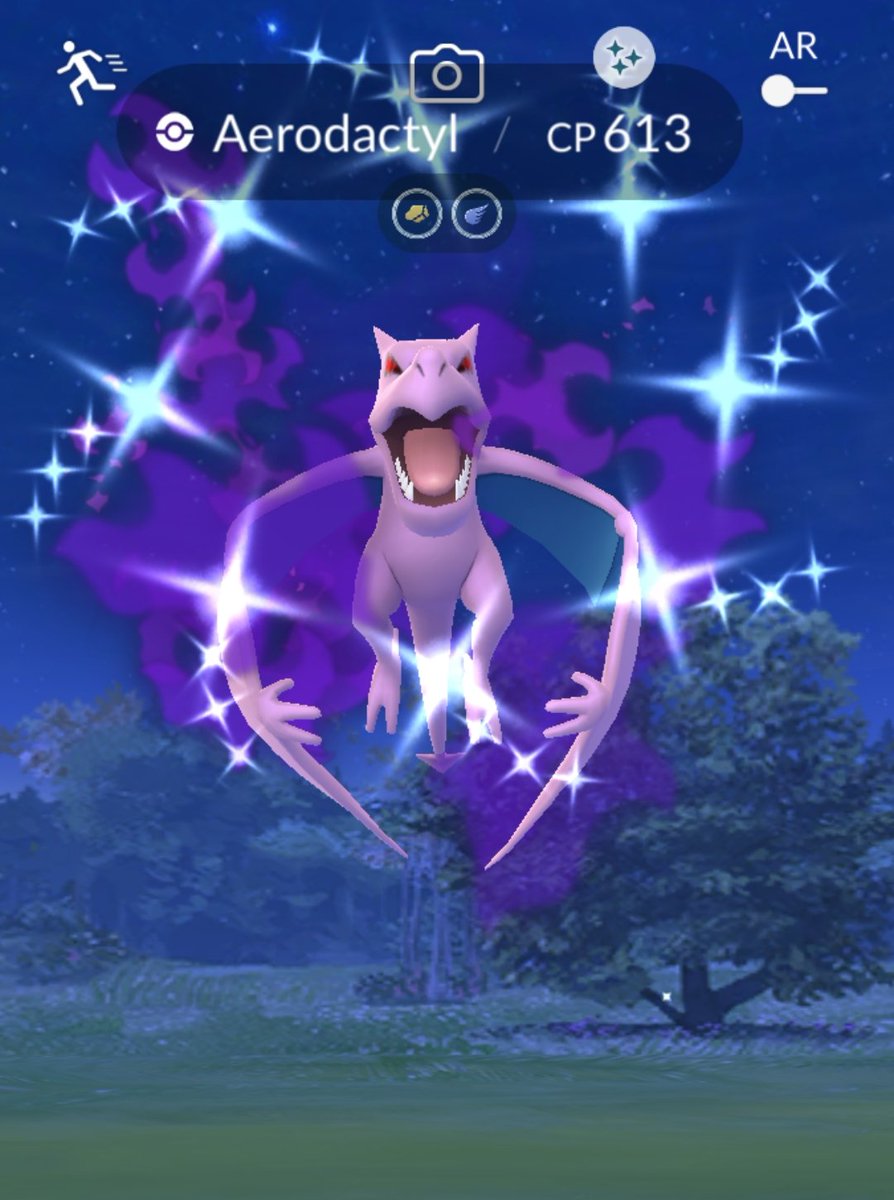 TMRocketDojo's tweet photo. Shiny Shadow Pokémon collection from Jessie, James and the Rocket Leaders! 😃🌟

#shinypokémon #teamgorocket #shadowpokémon #pokémonGo #rocketleaders https://t.co/odVqA65sWV