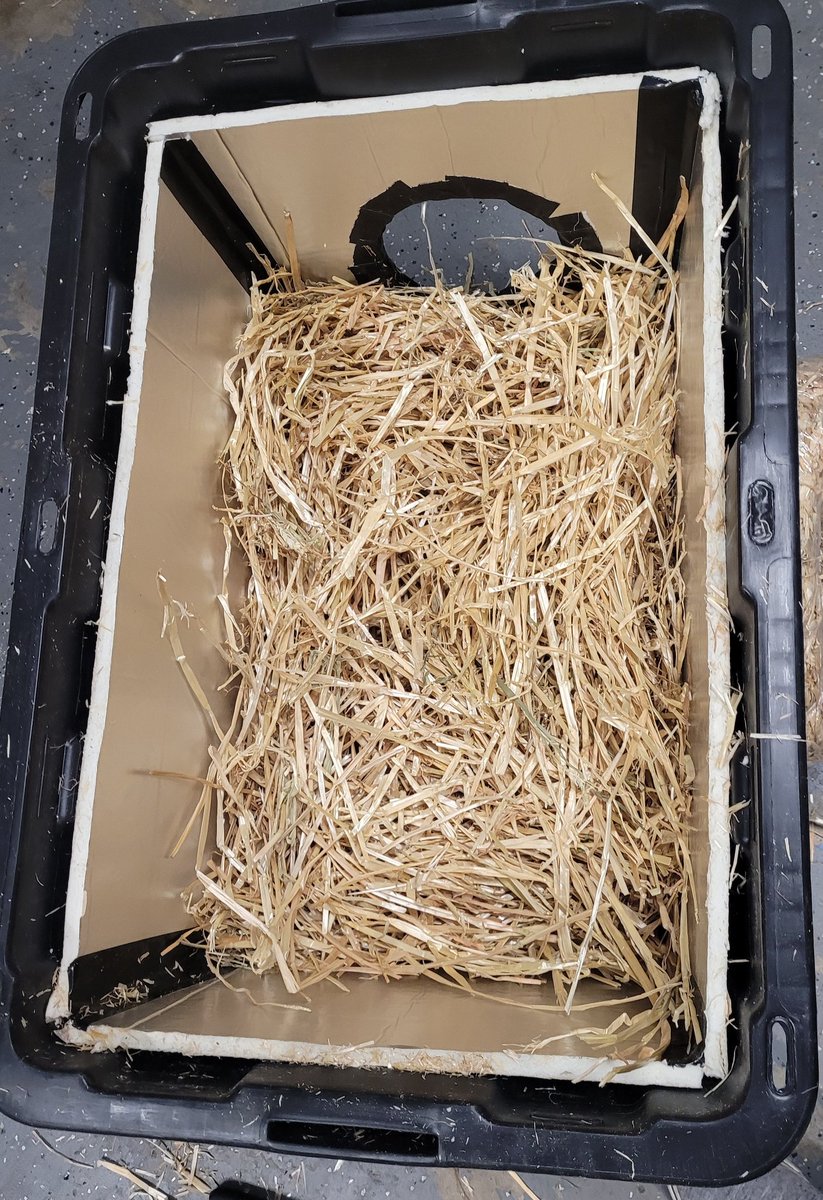 katmarcelolewis's tweet photo. Makeshift shelter for community cats has been set up! If they ever need a place to warm up in for the next couple of days, they  can stay in this airbnb for free!

#arcticblast #catbnb #communitycats https://t.co/pi4kt7hN2u