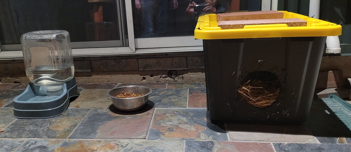 katmarcelolewis's tweet photo. Makeshift shelter for community cats has been set up! If they ever need a place to warm up in for the next couple of days, they  can stay in this airbnb for free!

#arcticblast #catbnb #communitycats https://t.co/pi4kt7hN2u