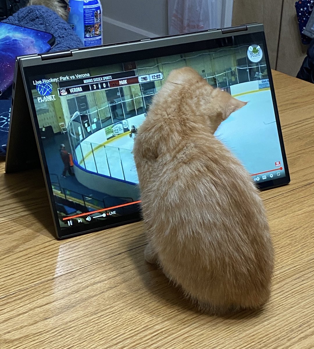 makowski_hailey's tweet photo. Finley watching the Park vs Verona hockey game! @MorrSussSports https://t.co/Bj9Vy5ul45
