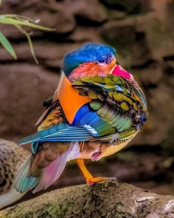 UnvirtuousAbbey's tweet image. Actual photo of the Holy Spirit reminding you: you’ve got this.