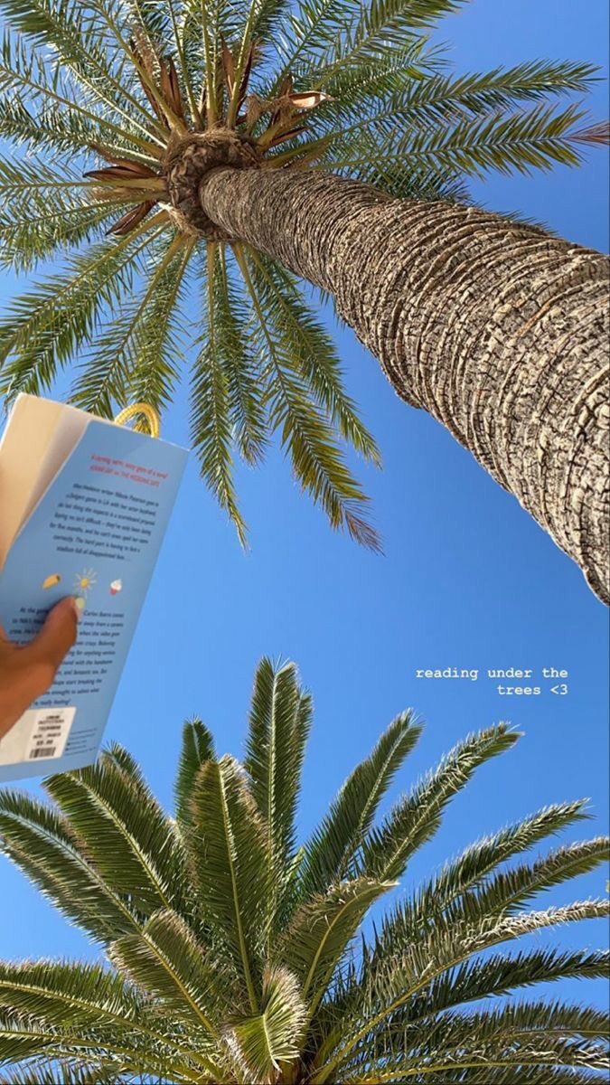 wolfiefendi's tweet photo. summer time https://t.co/KrXrWECipr