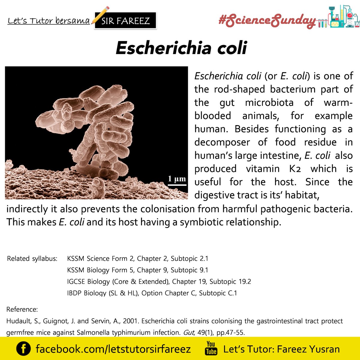 Fareez_Yusran's tweet photo. #ScienceSunday
Pernah dengar bakteria bernama E. coli? E. coli sebenarnya ialah salah satu mikroorganisma yang menjadikan usus kita sebagai habitatnya!
#SainsTingkatan2 #ScienceForm2 #KSSM #LetsTutorSirFareez https://t.co/DSOhR2vI9h