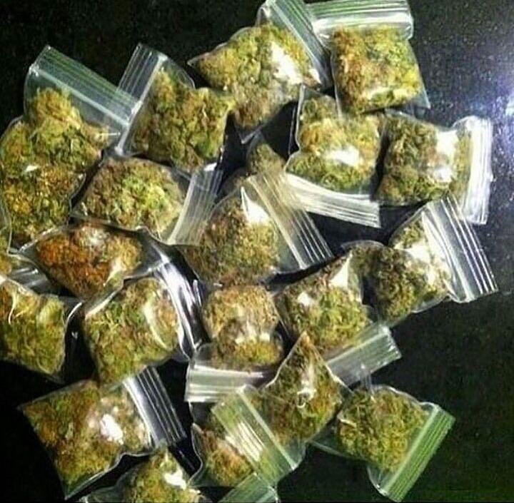 Shit4203's tweet photo. livraison discret, rapide sécurisé🍁💯Mp🌿🌿👇
Snaptchat// donpabla

#freyja #paris  #france #equipedefrance #weed #beuh #shit #cocaine #drogue #Legalisation2022 #legalisation #cannabis #ProhibitionIsDead
#Nimes #Proverbe  #Paris10 https://t.co/Ul8EpUkXgH