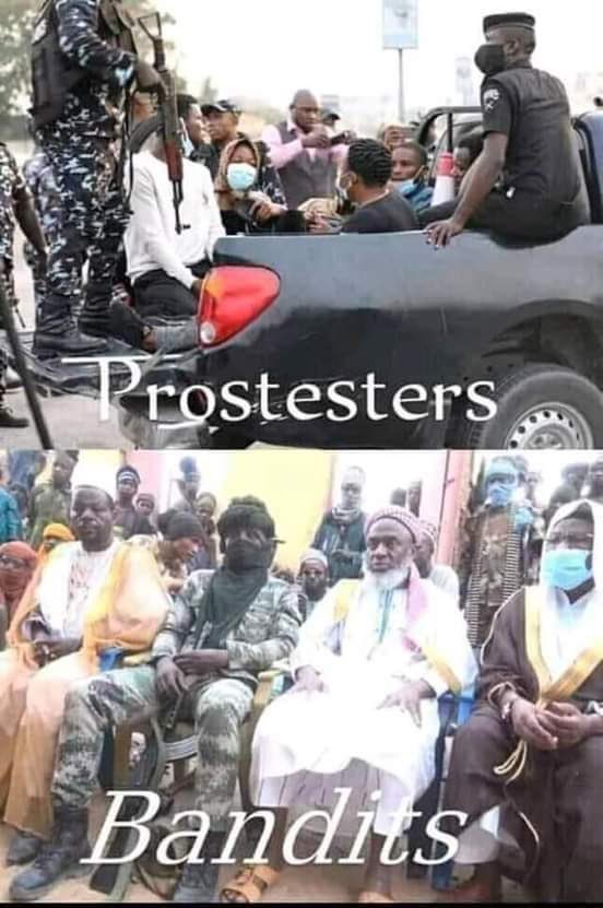 Only in a #Zoo called #Nigeria. The only solution is a #RevolutionNow