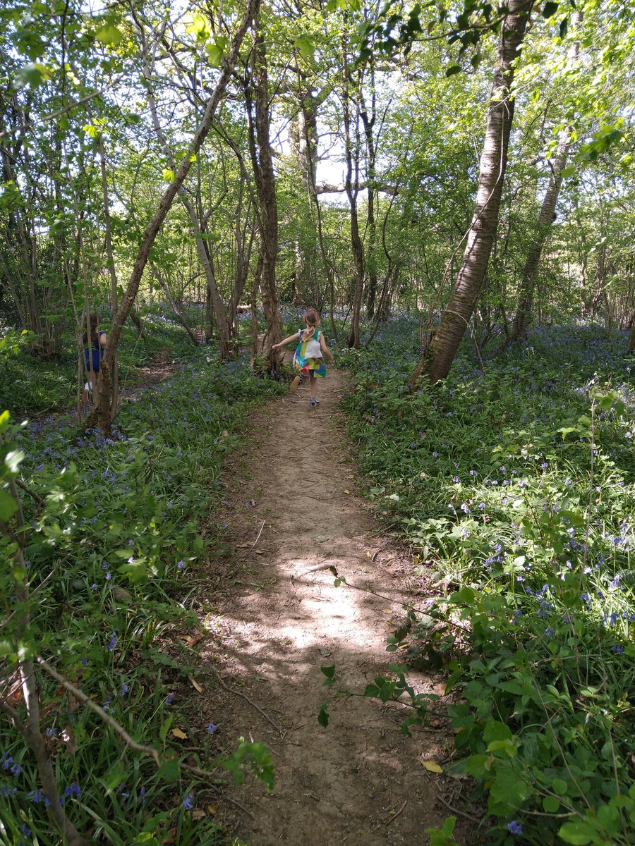 Nature was important for supporting children's wellbeing - they enjoyed spending time in natural settings, but also simple things like leaf and stick treasure hunts, listening to birds, etc. Just getting outside was great.