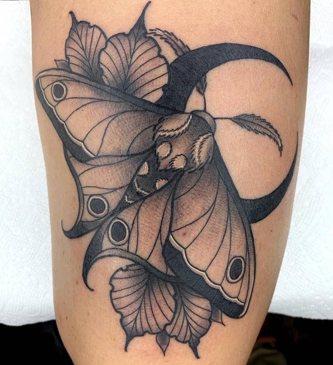 JerzeyInk's tweet photo. Nothing but super clean work from Lou Lou #moth #tattoo #traditionalart #tattooartist #nj #inked #freshink #tattooer https://t.co/DYay3LAS6G