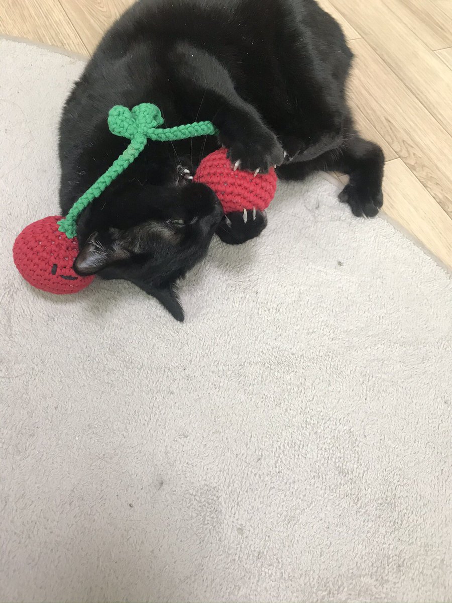 blacksesame_'s tweet image. 😸😐