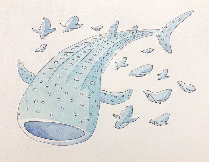 くつろぐ イラスト ペンギン アザラシ ペンギンラッシュのイラスト くつろぐ イラスト ペンギン アザラシ ペンギンラッシュのイラスト