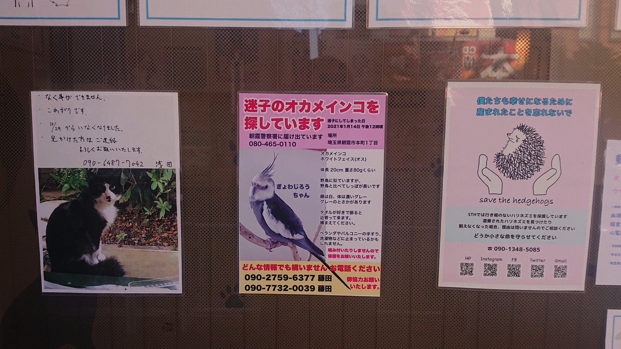 くさか動物病院 Twitter Search Twitter