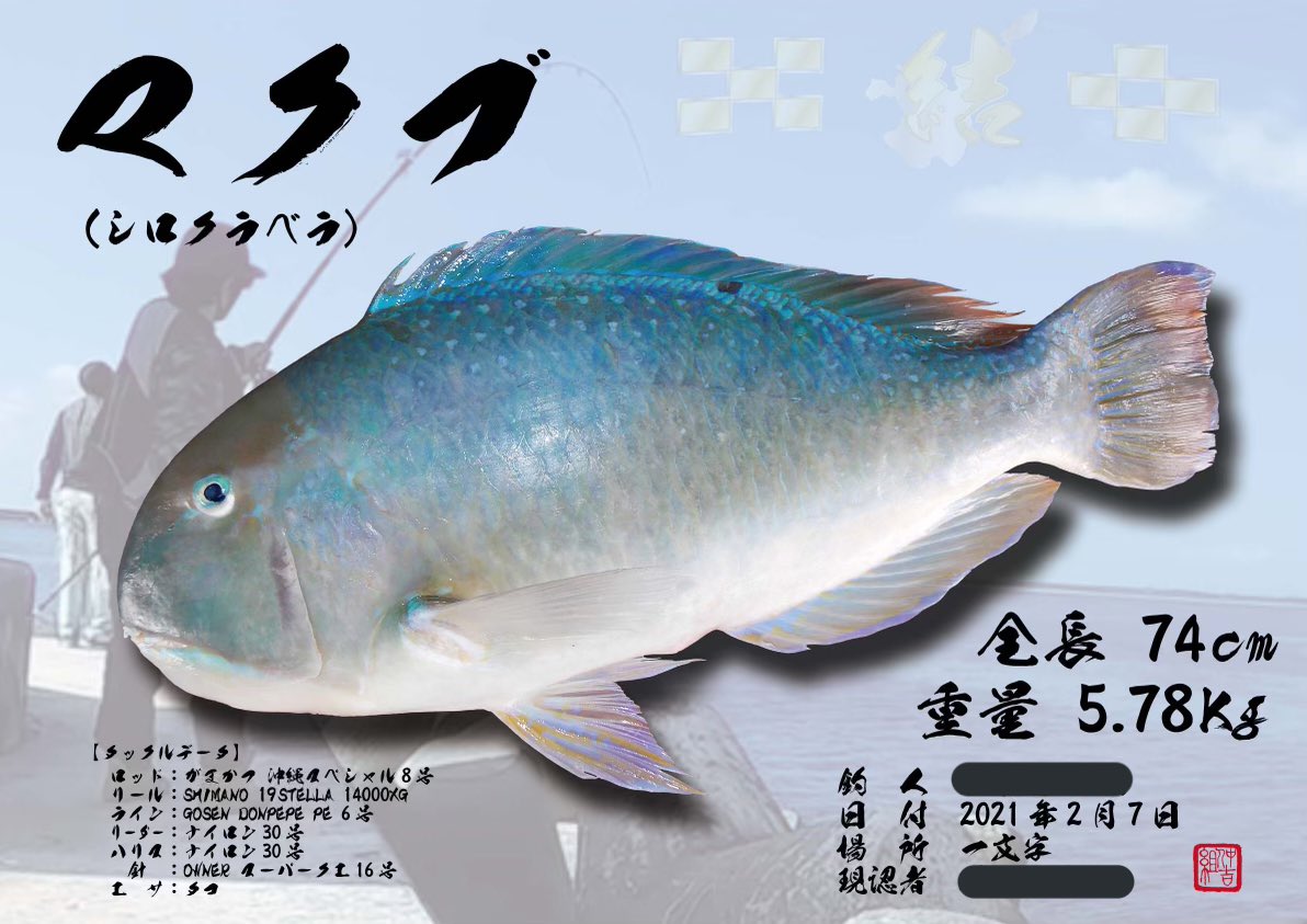 沖縄三大高級魚 Hashtag Posts And Instagram Pictures And Videos Offerdos Com