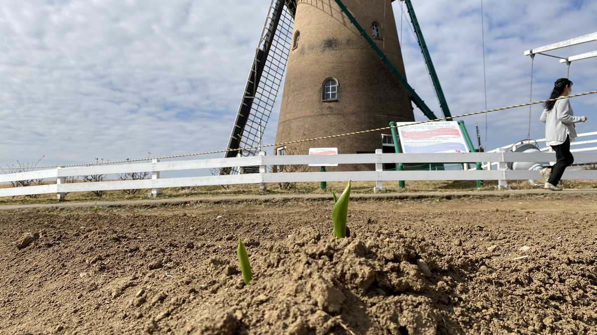 印旛沼サイクリングロード