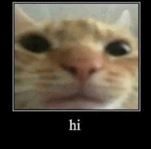 hazel!! (@hazeltonshea) on Twitter photo 