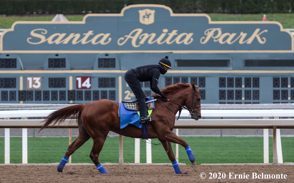 Ernie_Belmonte's tweet photo. .@santaanitapark #myfavoritetrack #myhometrack ❤️ https://t.co/jEOT8QpfsP