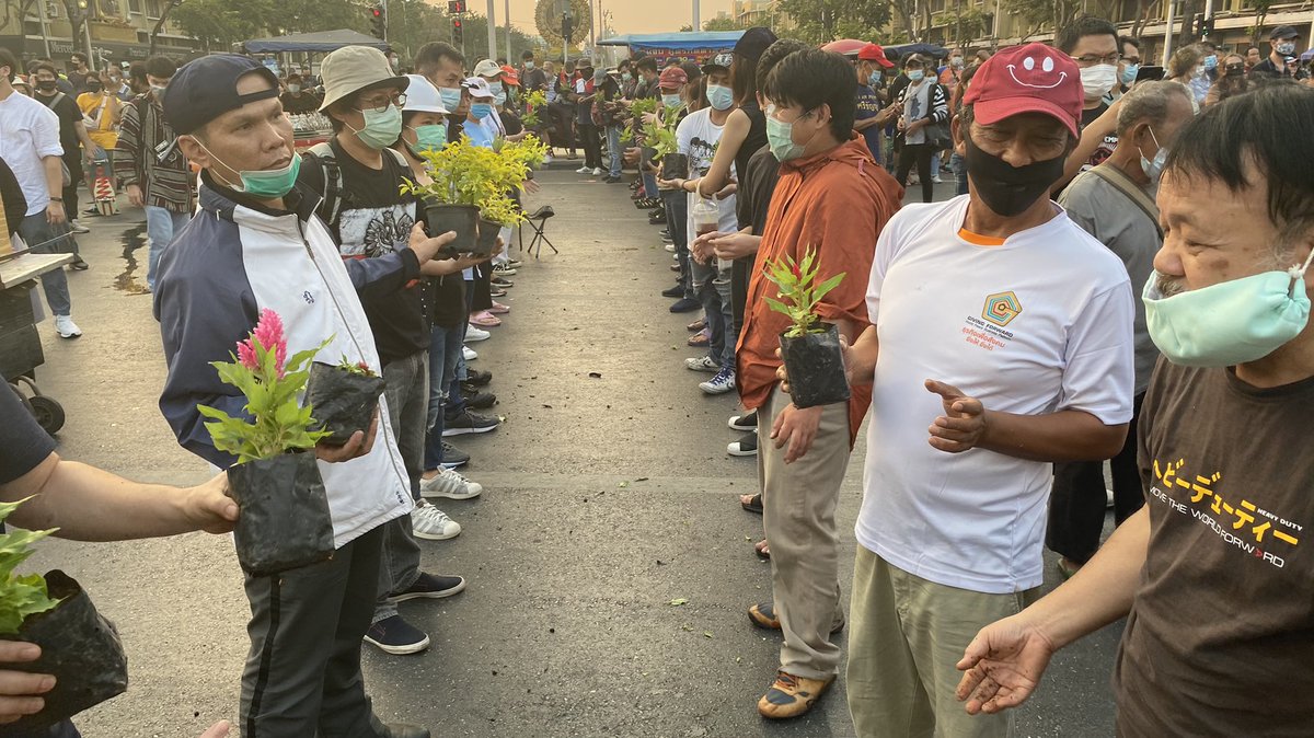 Some of the plants that were removed from the monument.  #ม็อบ13กุมภา