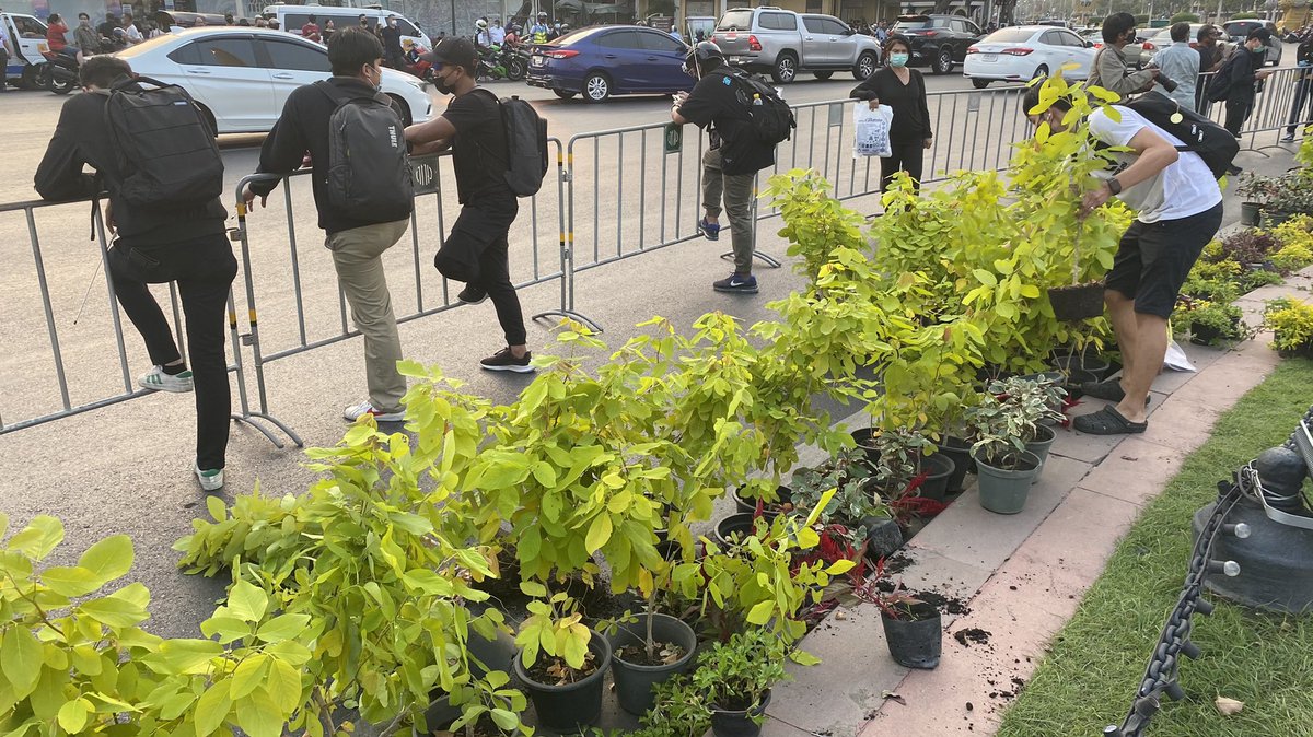 Some of the plants that were removed from the monument.  #ม็อบ13กุมภา