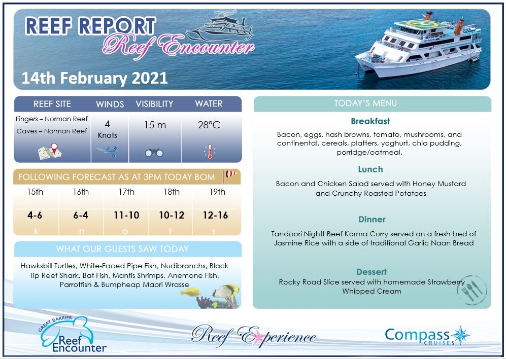 Reef Encounter Reef Report - 14th February 2021

🥰😎😍🤿🦑🐟🦀🐳🌊🐠

🖱 reefencounter.com.au
☎️  (07)4037 2700
 
#reefencounter #floatinghotel #sleeponthereef #bestcrewonthereef #holidayherethisyear 
#scubadiving #ocean #travel #underwaterworld