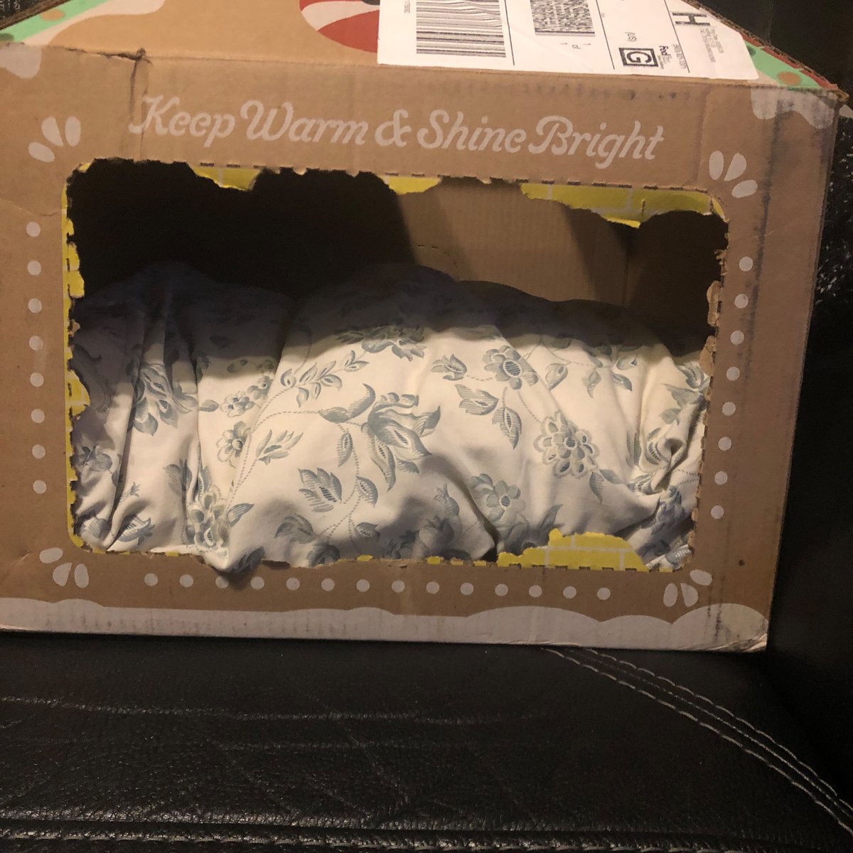 LoebMrs's tweet photo. Remember those pets outside this week! @HelloBello we love your house shaped boxes! My girls love to play in them and I just put a sweater over one, a pillow, and blanket to make a cozy house for a stray cat in my neighborhood to keep them warm in the winter storm! https://t.co/36r9aqo07B