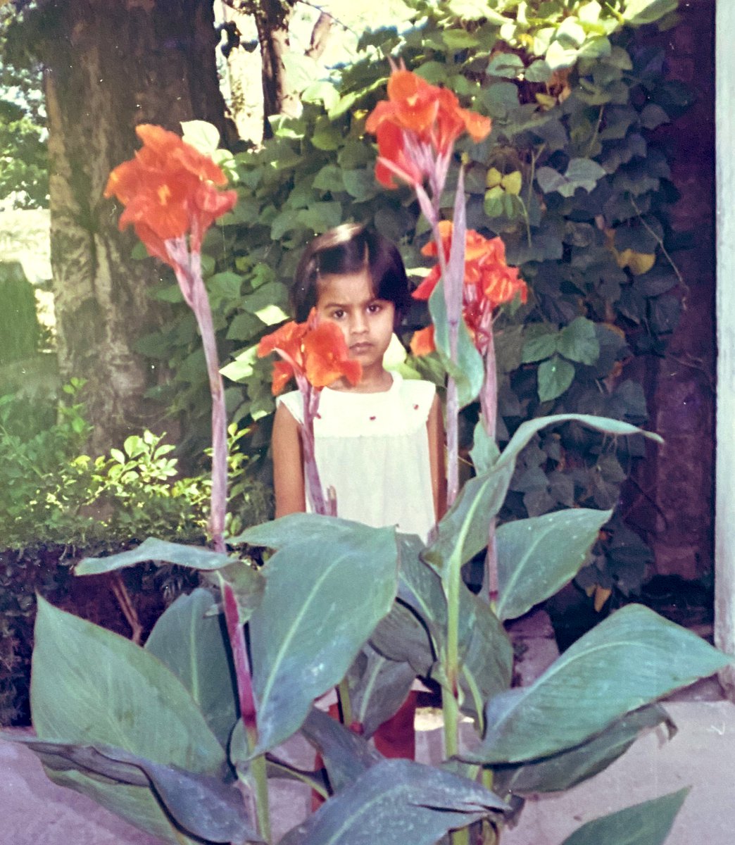 PriyankaJShukla's tweet photo. Every middle-class family in India invests everything it has- time,  energy, money &amp; dreams- in its children.
And everytime one visits home, one is reminded that no matter how old you are, you would always remain this young for your parents😊

#SundayThoughts https://t.co/wu6RRQ6kPo