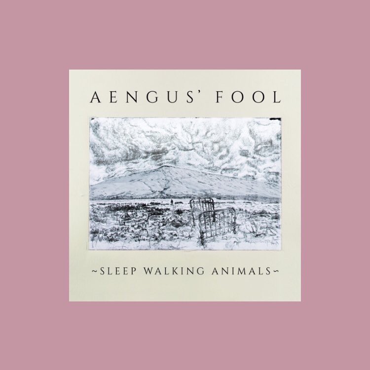 SHNradio's tweet photo. Aengus’ Fool by @swalkinganimals is out now! 

https://t.co/N6D4TJmQqI

https://t.co/A5z6hLsZl4 https://t.co/pU5PM1kKqD