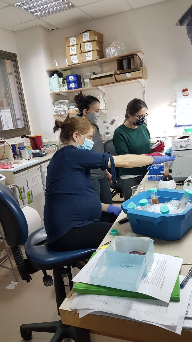 Hubner Lab tweet media