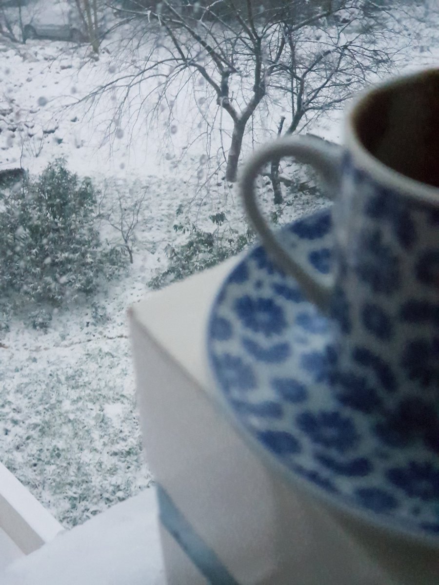 Suraya dısı buz tutmus fakat ici sıcacık bi #gunaydın birakiyorumm.
☃️

#istanbuldakar
#14subatsevgililergunu 
#Erkencitayfa