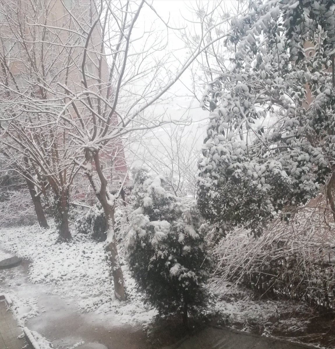 Allahım sokakta yaşayan tüm canlılara yardım et🙏 Ne olur duyarlı olalım. Hepimizin yapabileceği birşey var, olmalı.. Kahroluyorum☹️