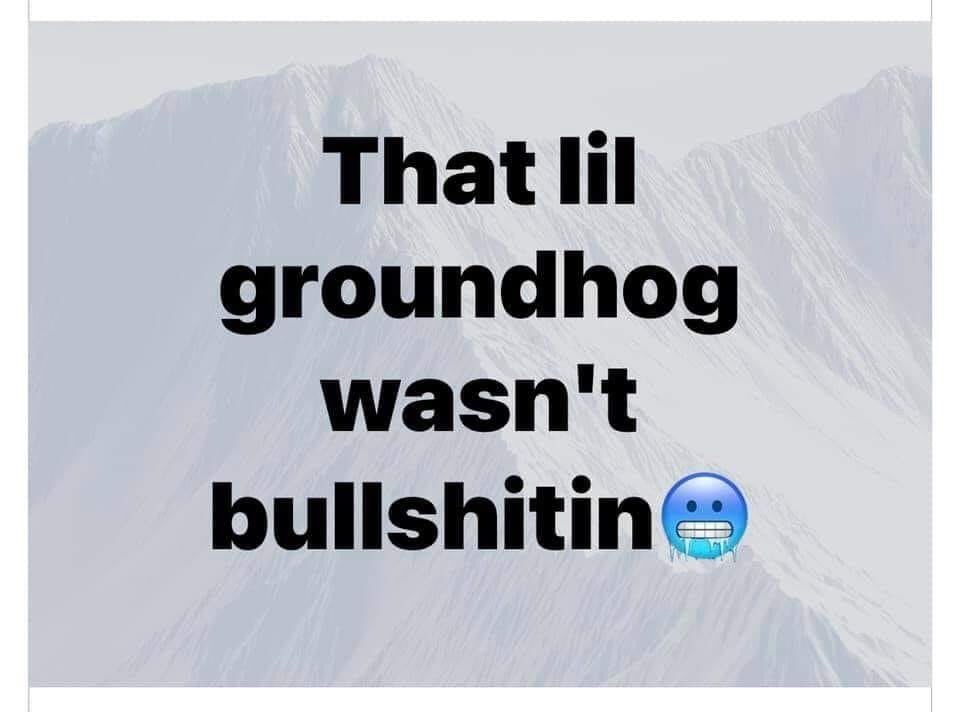 Birb🌪 (@kirbyowen32) on Twitter photo 