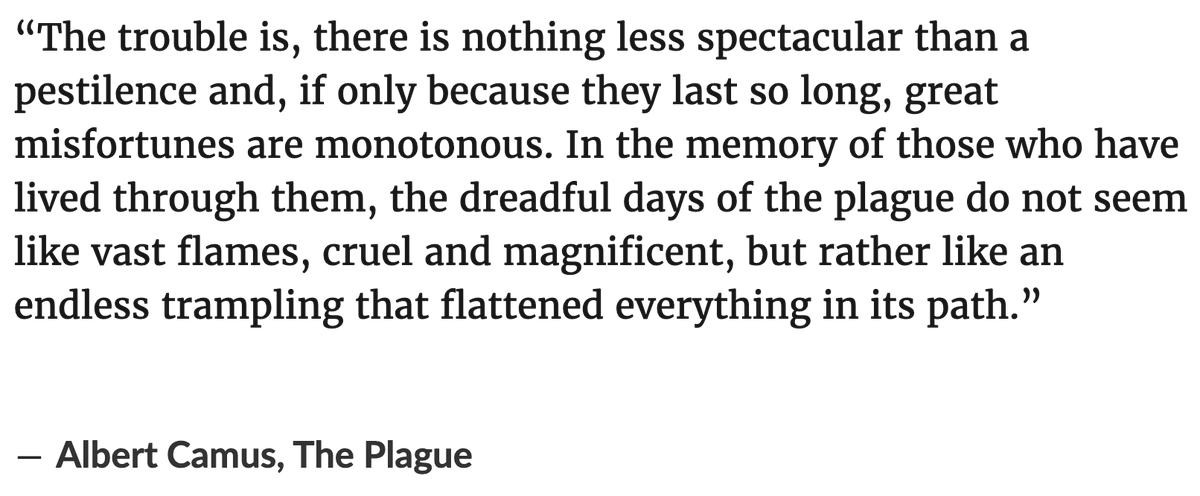 I keep thinking about Albert Camus' description of being stuck in a plague -- the boredom, the hopelessness, the feeling of being perpetually stalled out: