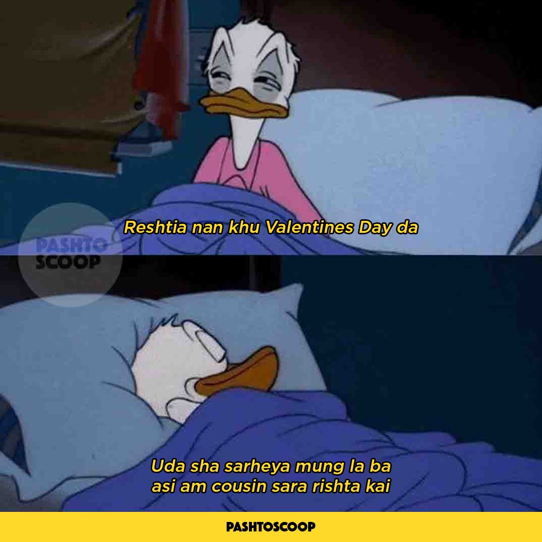 PashtoScoop Humor (@PashtoHumor) / Twitter PashtoScoop Humor (@PashtoHumor) / Twitter