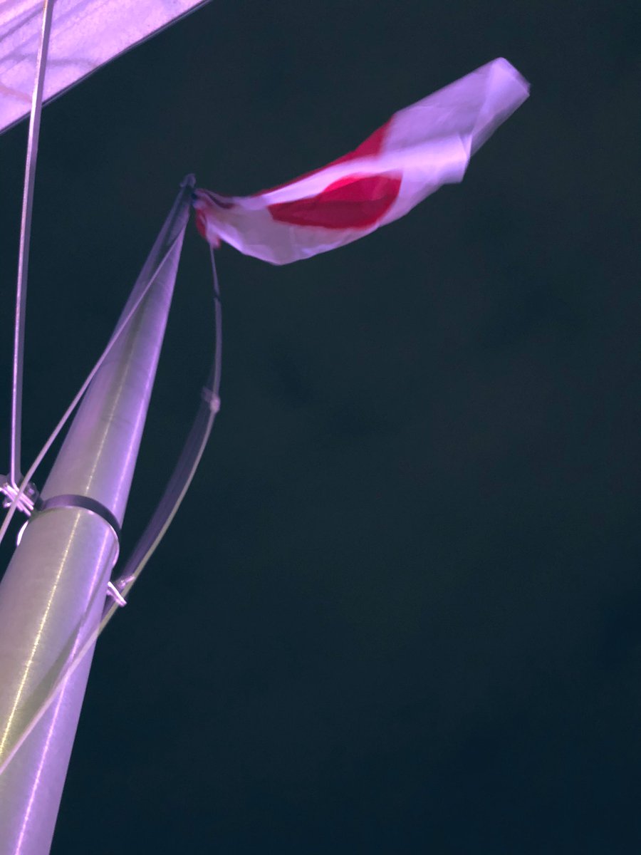 Happy Valentine’s Day, Portland! Love to all! #PortlandME #PortlandMaine #valentinesday2021 #valentinesbandit