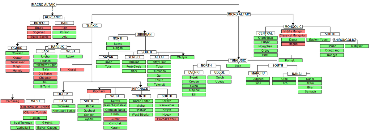Here is the language tree of Altaic langues. You can see the Turkic languages. You can see Azerbaijani in the left corner below