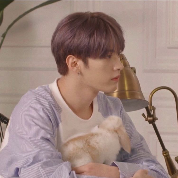 anyways, in honour of valentines’ day — a long thread of minho boyfriend quality pics for all the singles