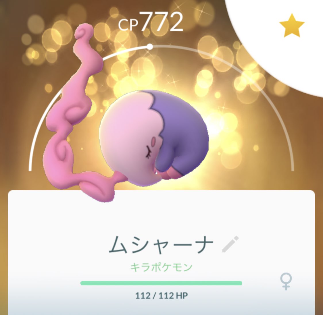 Reco 毎日gbl挑戦中 Ar Twitter 今日の収穫 色違いピッピに続き まさかの色違いラッキー ムシャーナもキラにできたし やっぱりバレンタインイベント最高すぎる ポケモンgo Pokemongo 色違いポケモン Reco 毎日gbl挑戦中 Ar Twitter 今日の収穫 色違いピッピに続き まさかの色違いラッキー ムシャーナもキラにできたし やっぱりバレンタインイベント最高すぎる ポケモンgo Pokemongo 色違いポケモン