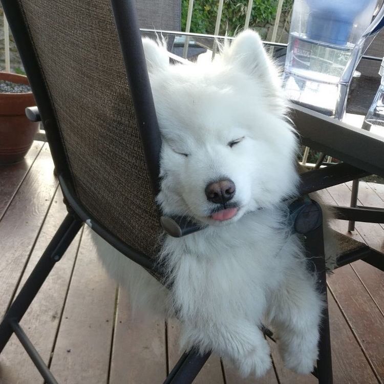 notmyfather__'s tweet image. ดีคับ วันนี้พิน่อก้อจะมา—