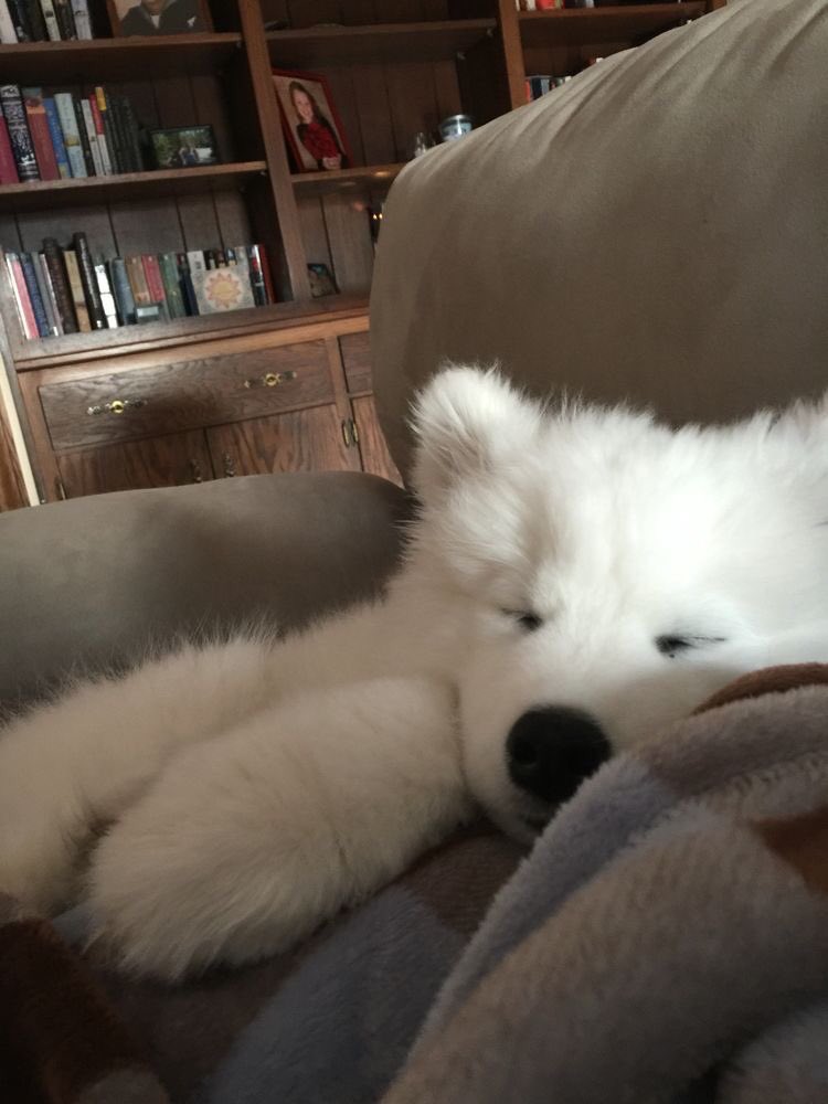 notmyfather__'s tweet image. ดีคับ วันนี้พิน่อก้อจะมา—