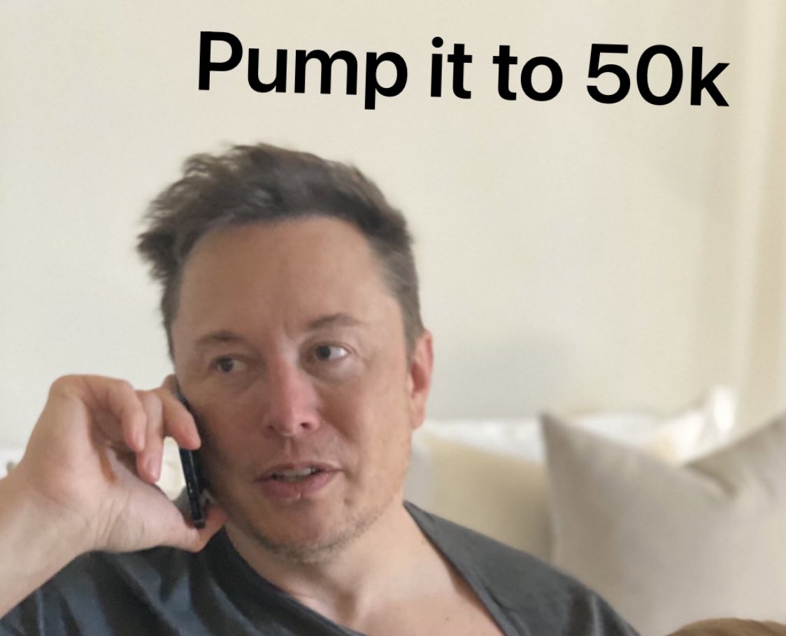 Do it, Pamp it 🐂🚀