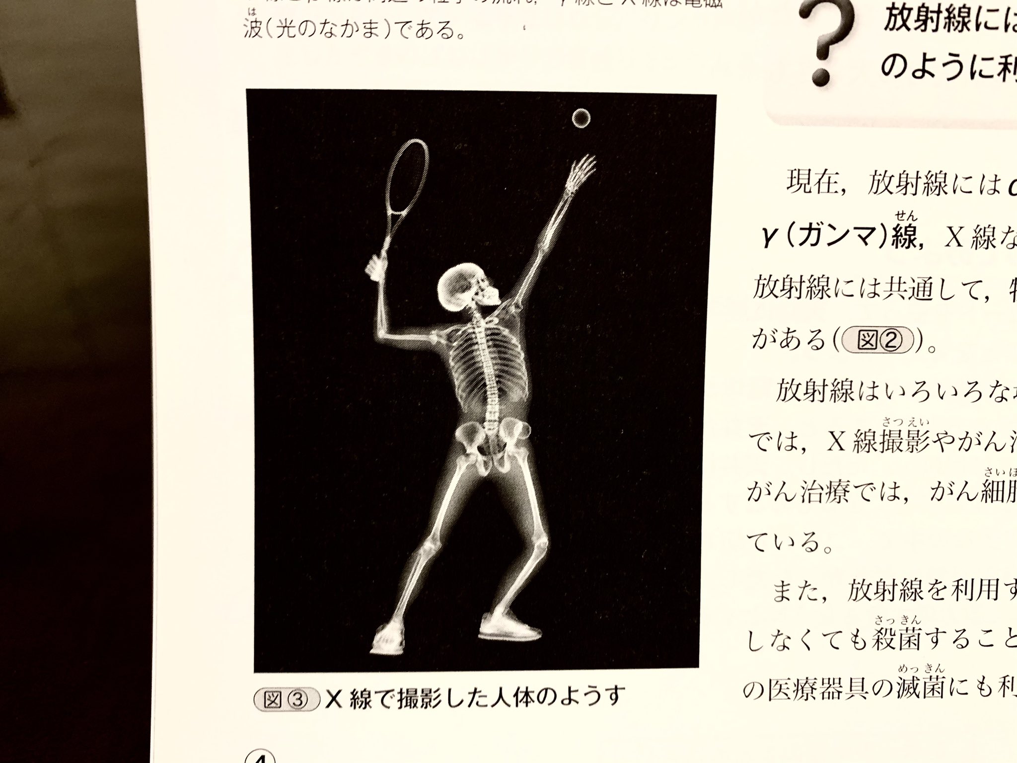 井上マサキ 娘の理科の教科書にあったレントゲン写真おもしろすぎるな T Co W840fg49ti Twitter