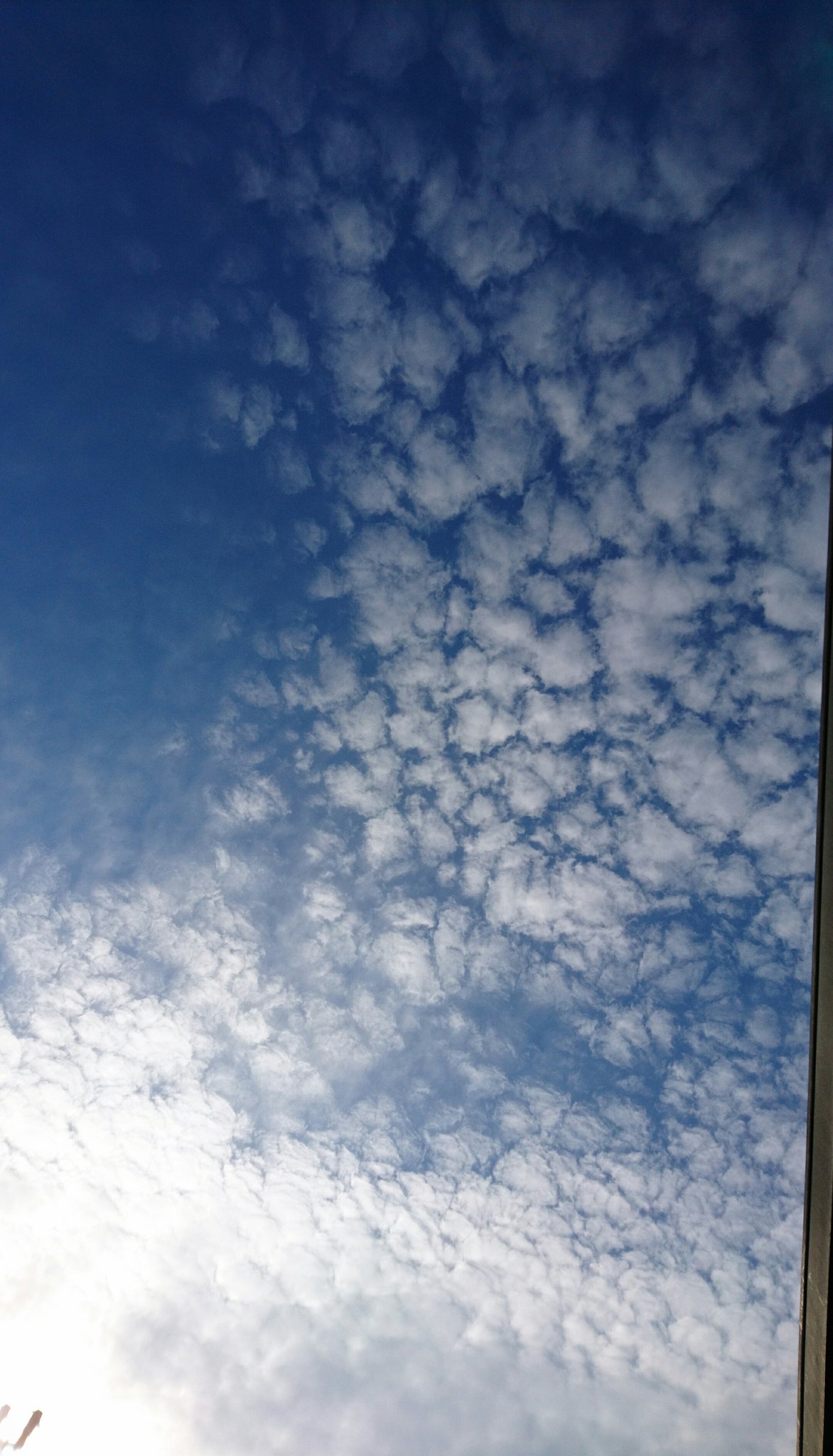 りーこ イマソラ 青空 雲 空 春空 可愛い雲 T Co Wnzbiv0b0v Twitter