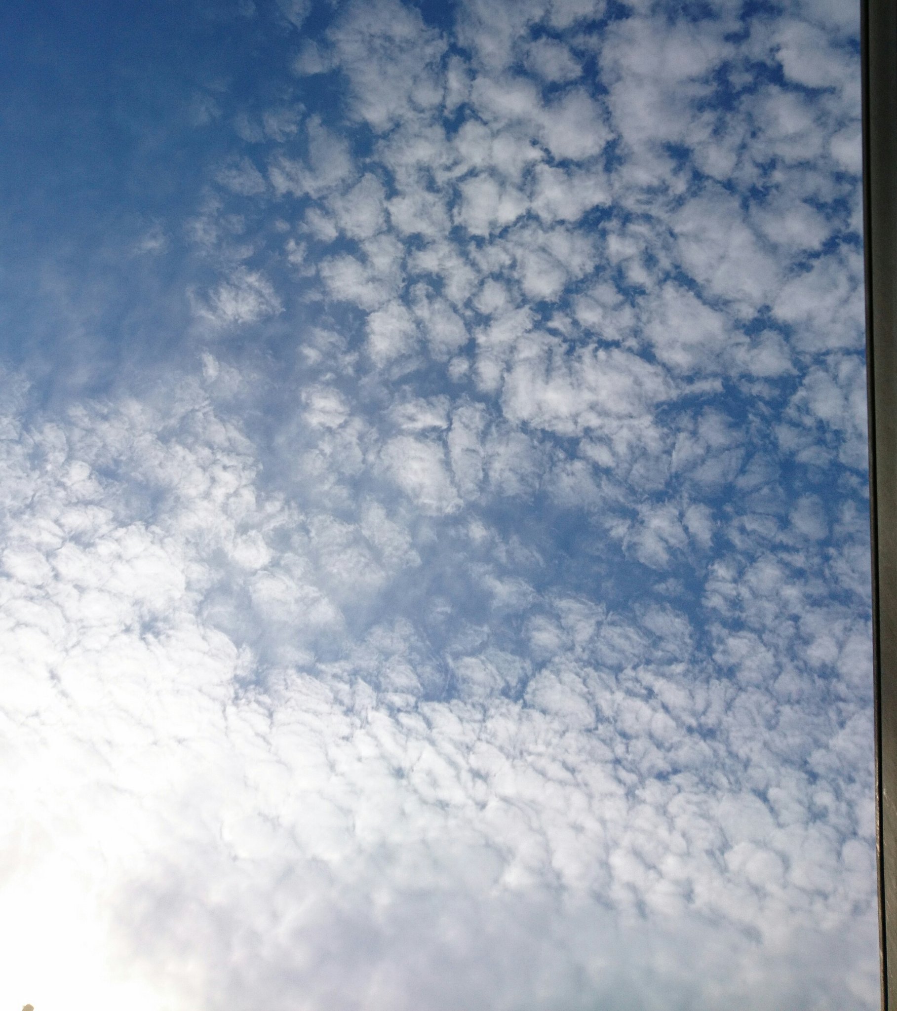 りーこ イマソラ 青空 雲 空 春空 可愛い雲 T Co Wnzbiv0b0v Twitter
