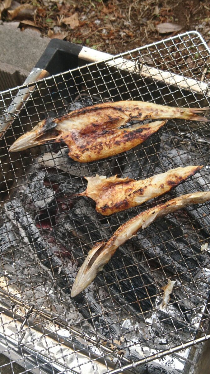 げっちゅ ゆるキャン 最高 妻が緊急事態宣言でキャンプ行けなくて発狂しそうだったので庭でキャンプしました 友人からのお歳暮で頂いた魚を焼いて食べましたが 真あじ かます のどぐろどの魚も ゚d゚ ウマーでした 庭キャンプ 家キャンプ 焼き魚 げっちゅ ゆるキャン 最高 妻が緊急事態宣言でキャンプ行けなくて発狂しそうだったので庭でキャンプしました 友人からのお歳暮で頂いた魚を焼いて食べましたが 真あじ かます のどぐろどの魚も ゚d゚ ウマーでした 庭キャンプ 家キャンプ 焼き魚